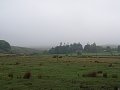 thn_Spacir na Sittaford tor.jpg